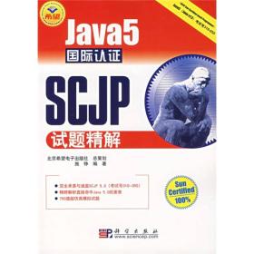 JAVA开发专家：Java5国际认证SCJP试题精解