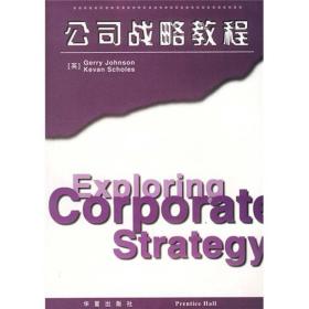 公司战略教程