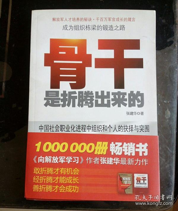 中国本土红色管理书系：骨干是折腾出来的
