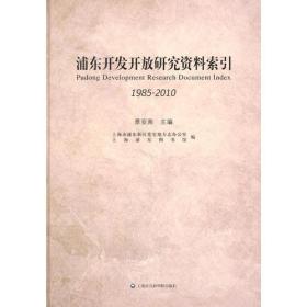 正版微残95品-浦东开发开放研究资料索引(1985—2010)FC9787552004700上海社会科学院出版社景亚南 编