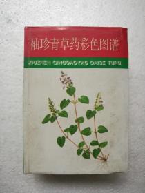 袖珍青草药彩色图谱