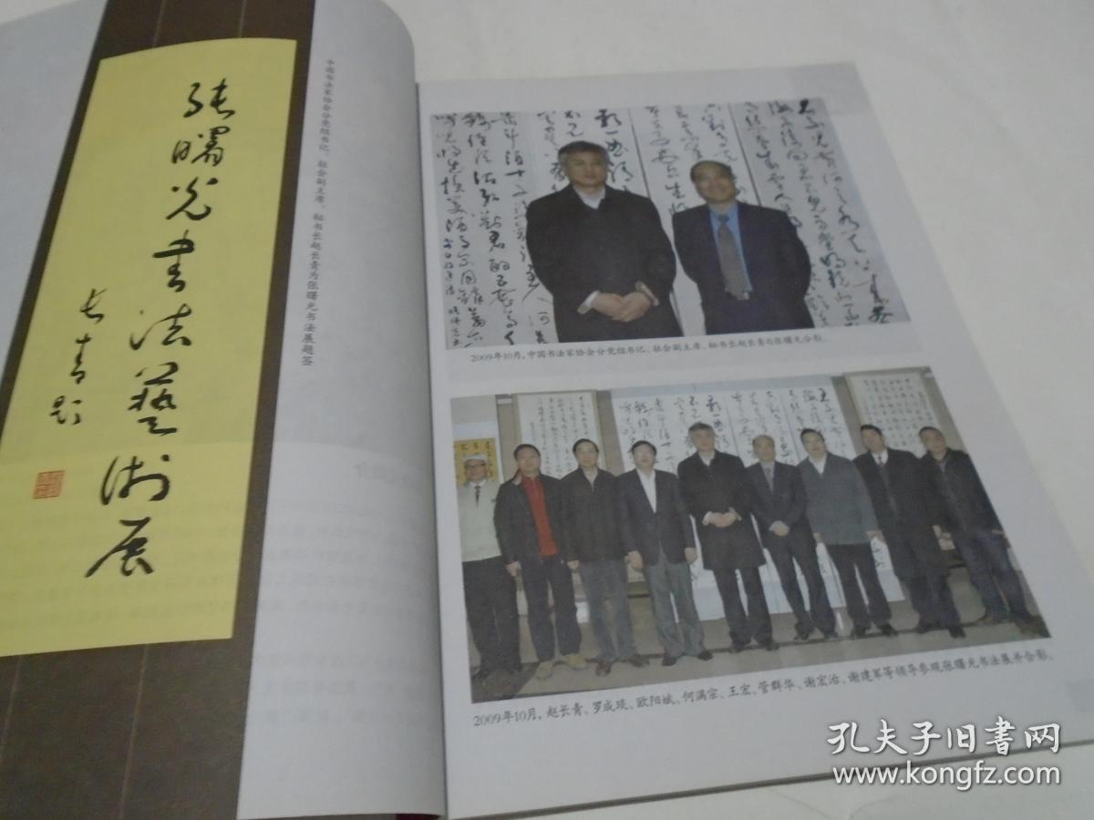 张曙光--书法作品集