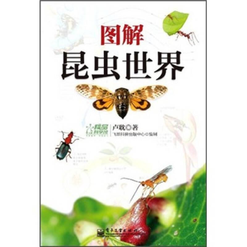 圖解昆蟲世界