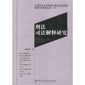 刑法司法解释研究——京师刑事法文库10