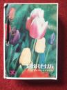 怀旧收藏 台历64开《1988年知识台历》主编王劲松1987.1.1