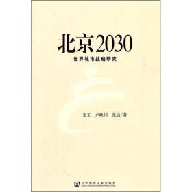 北京2030：世界城市战略研究