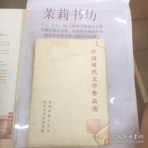 中国现代文学作品选