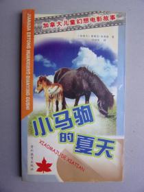 加拿大儿童幻想电影故事--小马驹的夏天