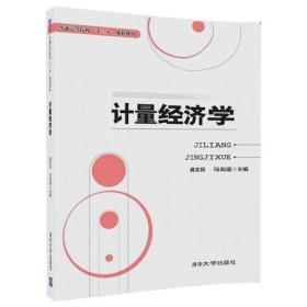 计量经济学龚志民  马知遥清华大学出版社9787302478621