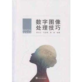 数字图像处理技巧 贾永红、何彦霖、黄艳编 武汉大学出版社 9787307190382