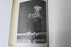花鸟写真图鉴第三辑【日本昭和5年（1930）平凡社出版。精装一厚册。有外函套。收图128幅。品佳。】