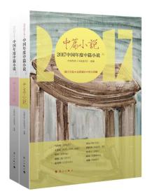 2017中国年度中篇小说（套装上下册）