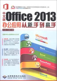 中文版Office 2013办公应用从新手到高手