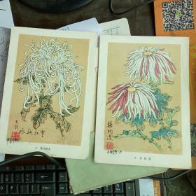 花鸟画选辑 15张