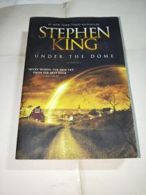 STEPHEN KING UNDER THE DOME（平装厚册）