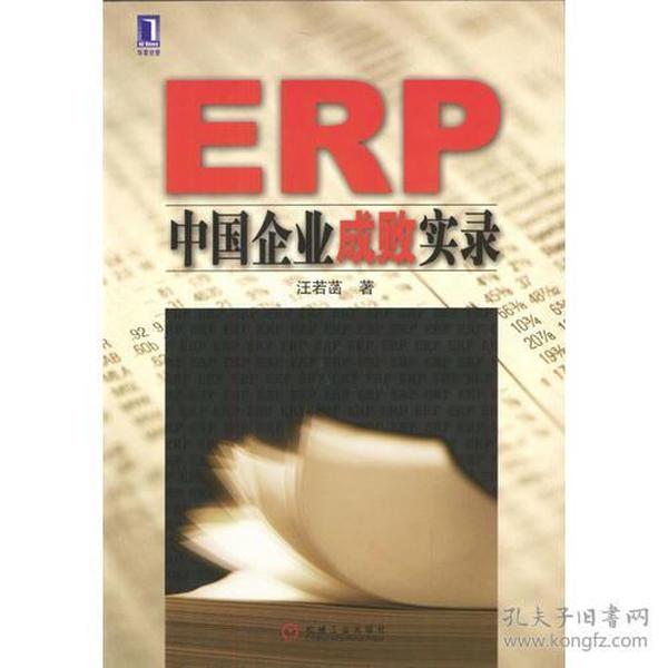 ERP中国企业成败实录