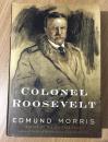 Colonel Roosevelt