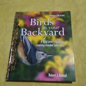 Birds in Your Backyard  后院的鸟儿 英文原版