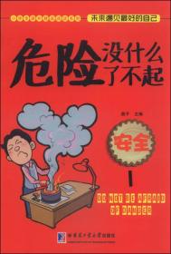 小学生课外精品阅读系列：危险没什么了不起（安全1）