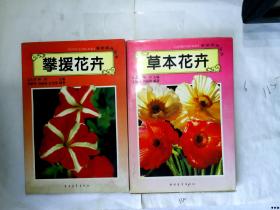 草本花卉  攀援花卉