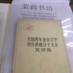 全国青少年业余文学创作积极分子大会发言选