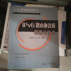 IPv6路由协议栈原理与技术