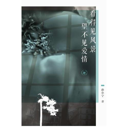 看得见风景望不见爱情