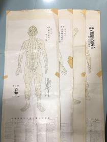 重绘人体经穴图1–4张全