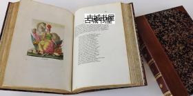 极其罕见，珍贵《图像学，圣像图》240幅手工上色彩色版画，约1821年出版