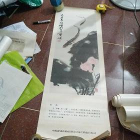 大理养殖增加出口货源 乌鱼 约105×38cm 8张合售