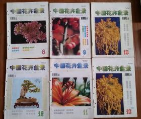 中国花卉盆景 1998年 6本合售 （8, 9, 两本10, 11, 12月）