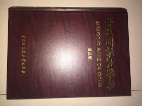 中国百科大辞典（普及版）
