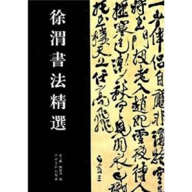 中国历代书法名家作品精选系列：徐渭书法精选