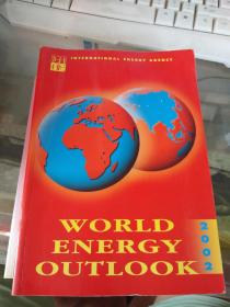 WORLD ENERGY OUTLOOK2002