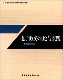 电子政务理论与实践/高等学校公共管理专业精品教材