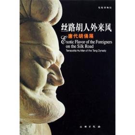 丝路胡人外来风：唐代胡俑展