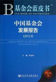 基金会蓝皮书：中国基金会发展报告（2013）