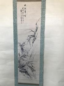 蓝石小史纸本兰石图  118x32厘米