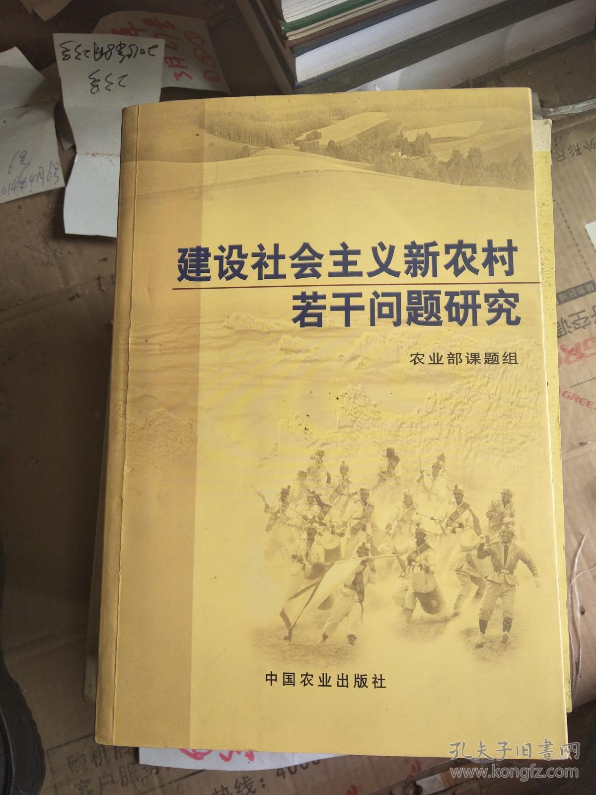 建设社会主义新农村若干问题研究