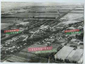 1965年内蒙古赤峰县航拍照片一张，新建立起的居民新村，环绕着耕地和绿化防风林带。25.5X18.7厘米