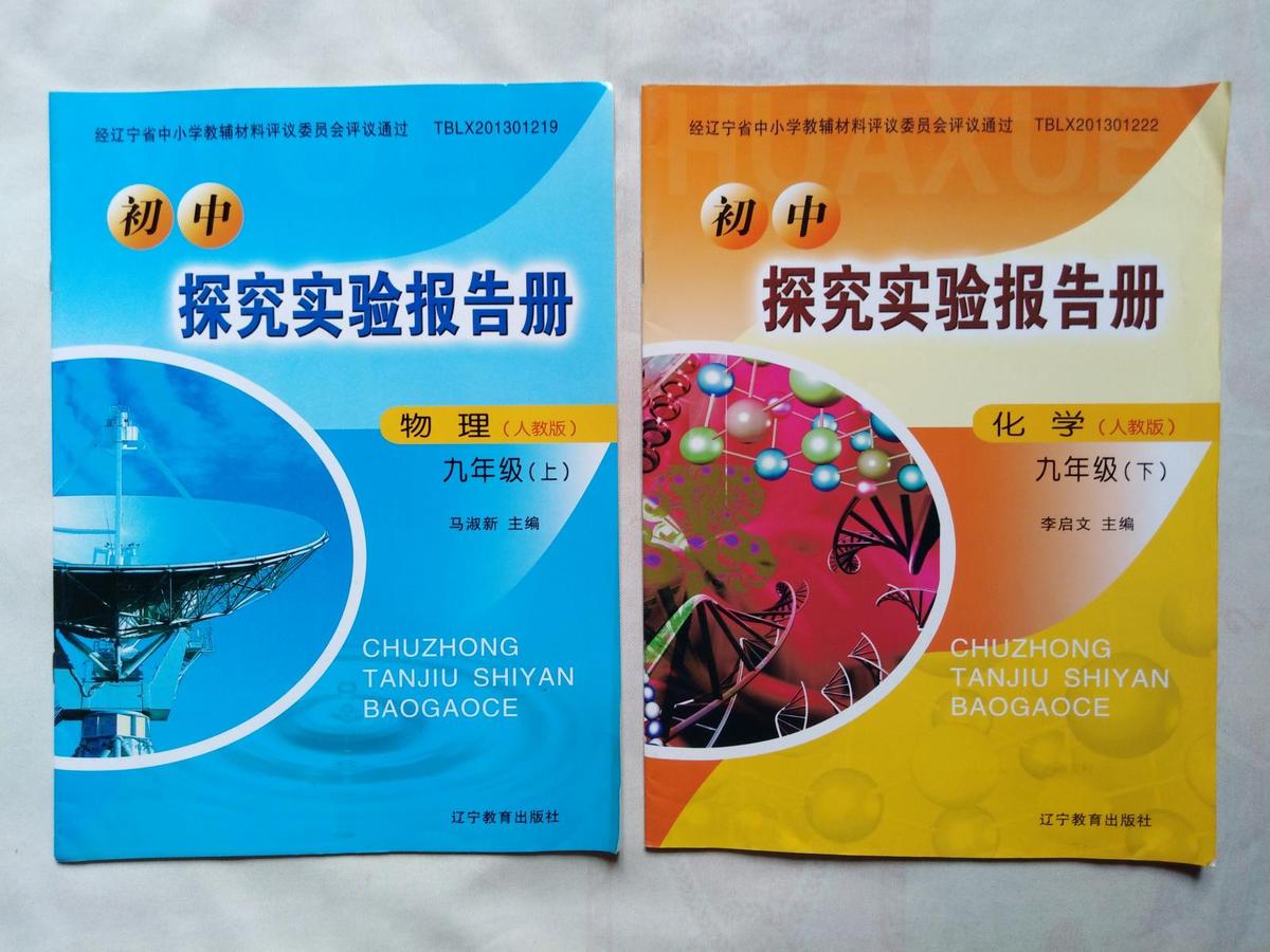 《探究實(shí)驗(yàn)報(bào)告冊-化學(xué)》9年級下，人教版