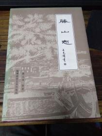 藤山志 近新品，02年一版一印1000册，精装带护封