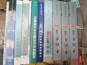 2007年长江证券中期投资策略报告