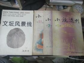 小说选刊1989・7    1989・5    1988.11    1984.12   1982.7   1988.8    1988.6   1988.9   2009.8    共计9本36元包挂刷