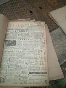 齐鲁晚报（1990年5月合订本）