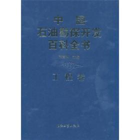 中国石油勘探开发百科全书 工程卷