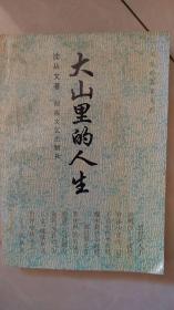 大山里的人生