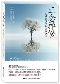 正念禅修:在喧嚣的世界中获取安宁:a practical guide to finding peace in a frantic world