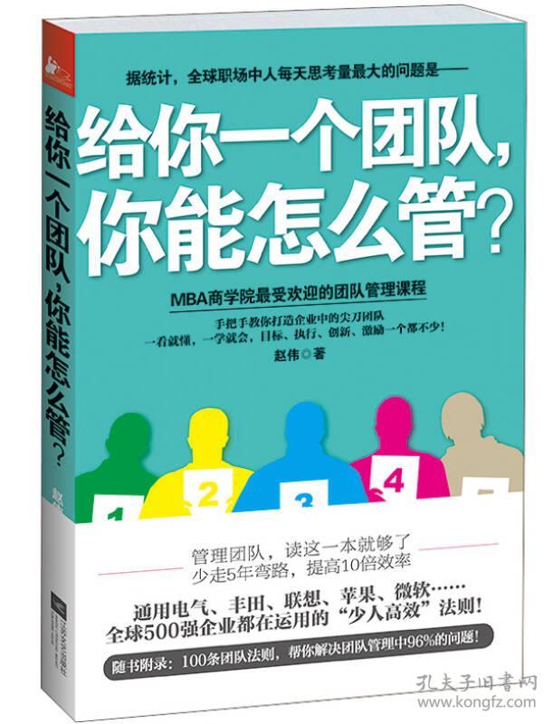 （二手书）给你一个团队你能怎么管 赵伟 江苏文艺出版社 2013年03月01日 9787539958934