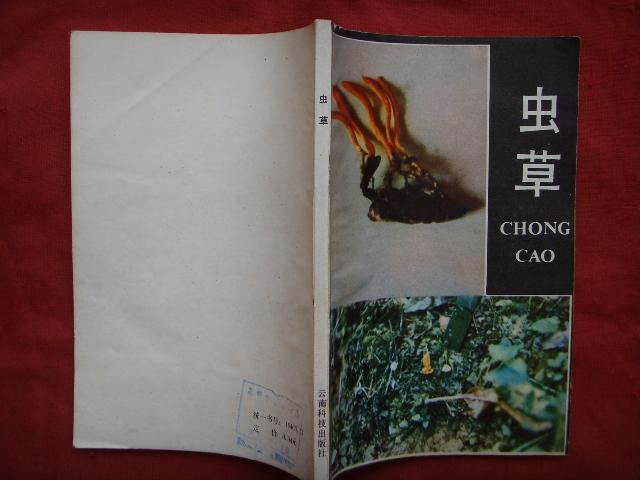 蟲(chóng)草